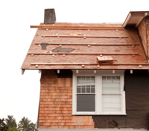 Affordable Siding Repair and Maintenance Services in Glasgow, VA